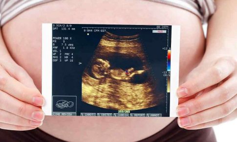 ¿Cómo funciona el corazón del bebé durante el embarazo?