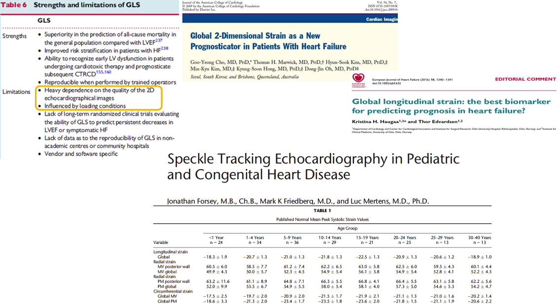 Basic Course in Pediatric Heart Failure and Heart Transplantation – Niakoro